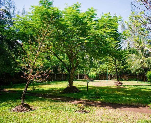 Kijani Cottages Diani Diani Beach Εξωτερικό φωτογραφία